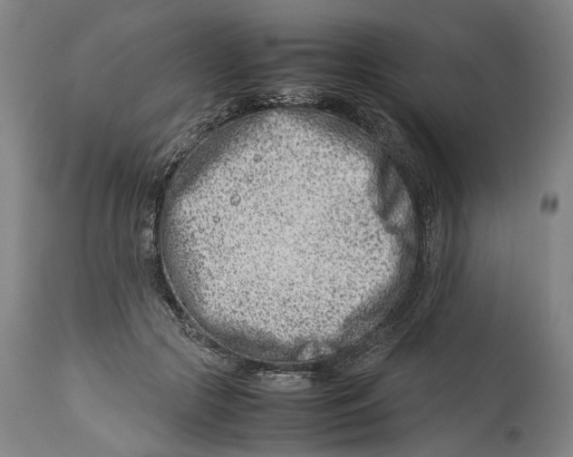 X0000114140553200911051423