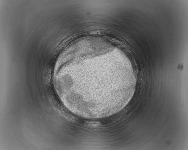 X0000114140554200911051423