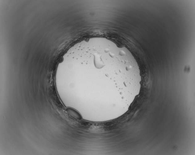 X0000114140560200911051423