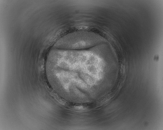 X0000114140561200911051423