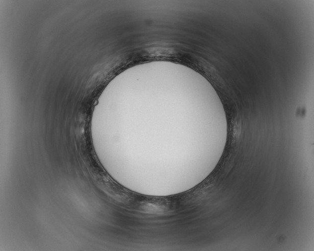 X0000114140567200911051423