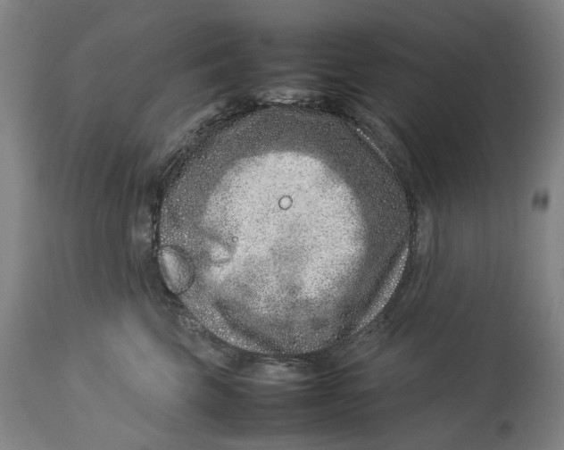 X0000114140569200911051423