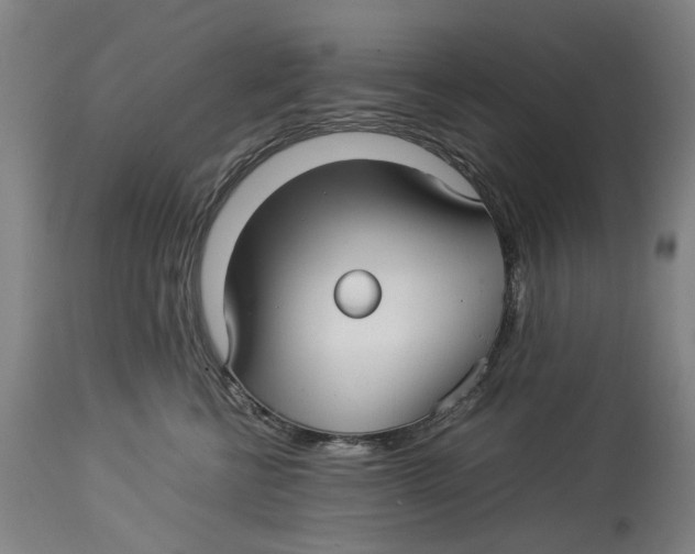 X0000114140570200911051423