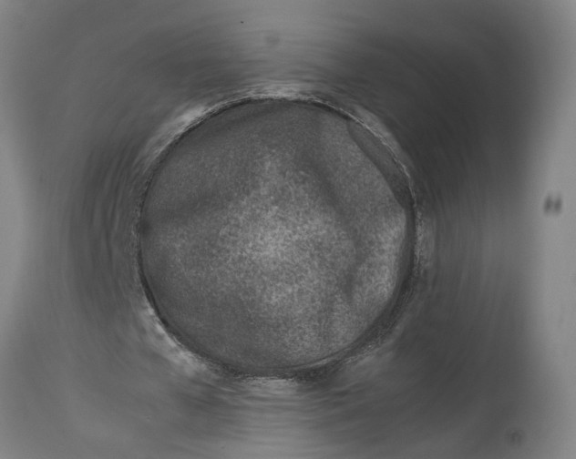 X0000114140577200911051423