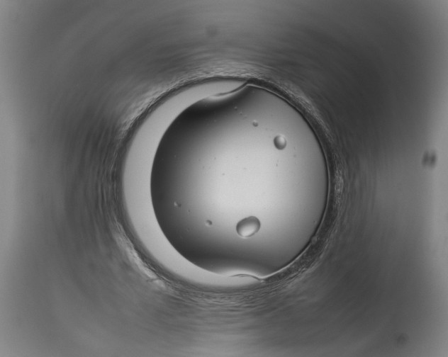 X0000114140581200911051423