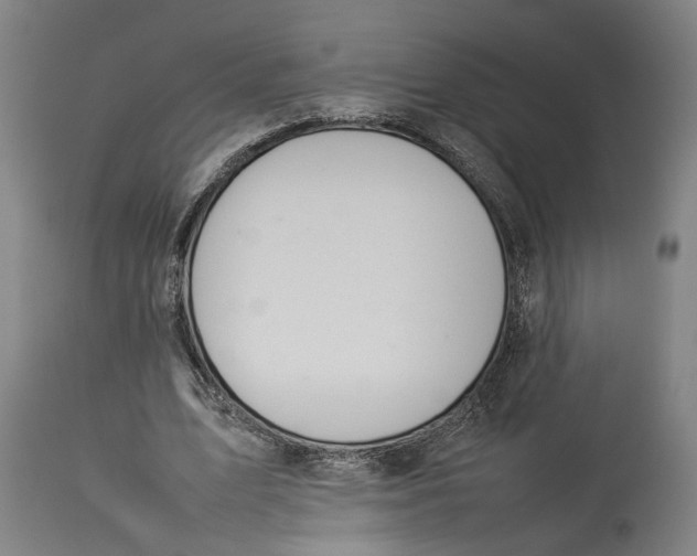 X0000114140583200911051423