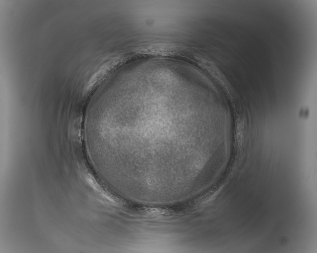 X0000114140585200911051422