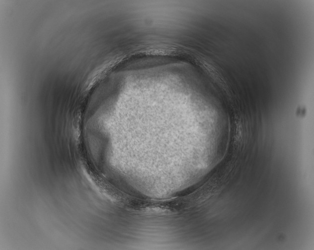 X0000114140586200911051422