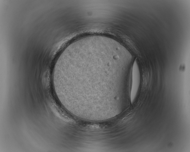 X0000114140588200911051422