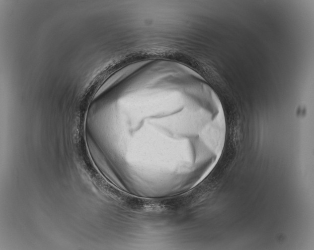 X0000114140591200911051422