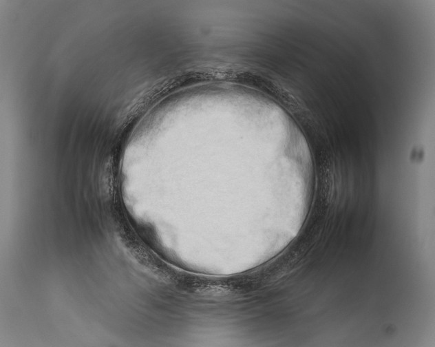 X0000114140594200911051422