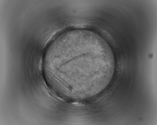 X0000114140596200911051422