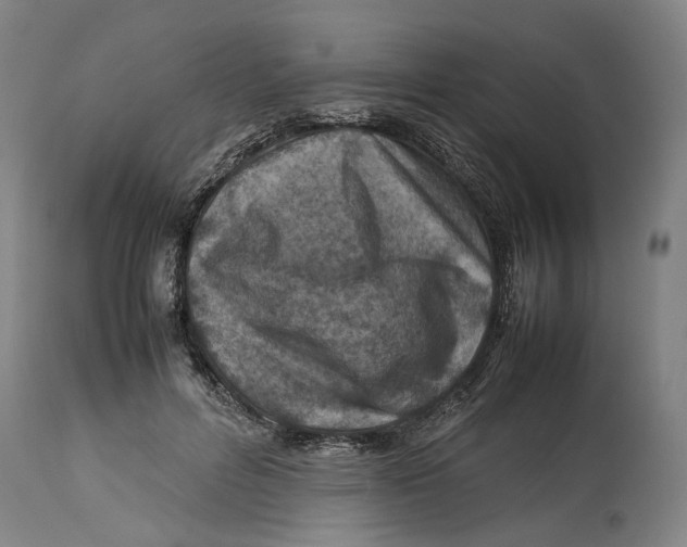 X0000114140600200911051422