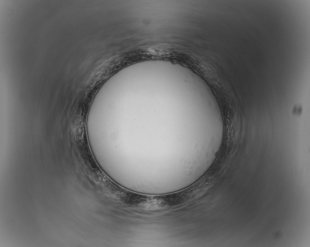 X0000114140609200911051422