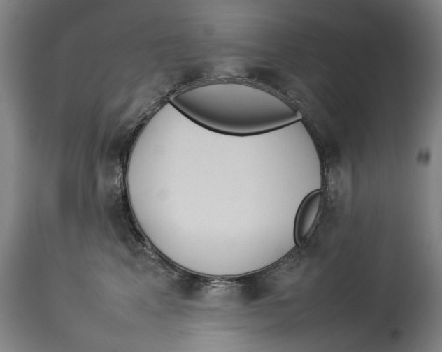 X0000114140617200911051422