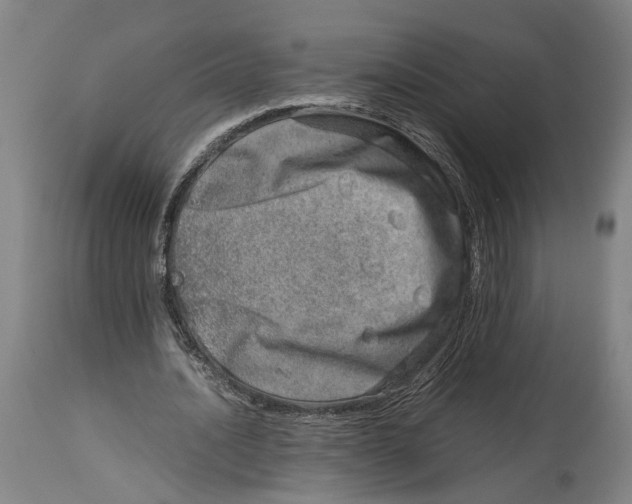 X0000114140628200911051421