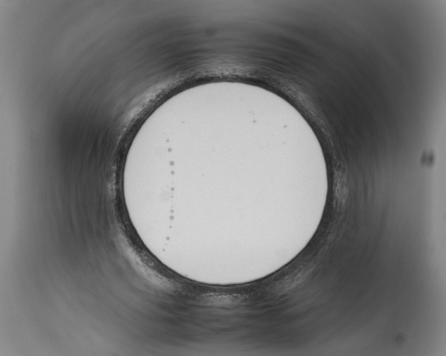 X0000114140629200911051421