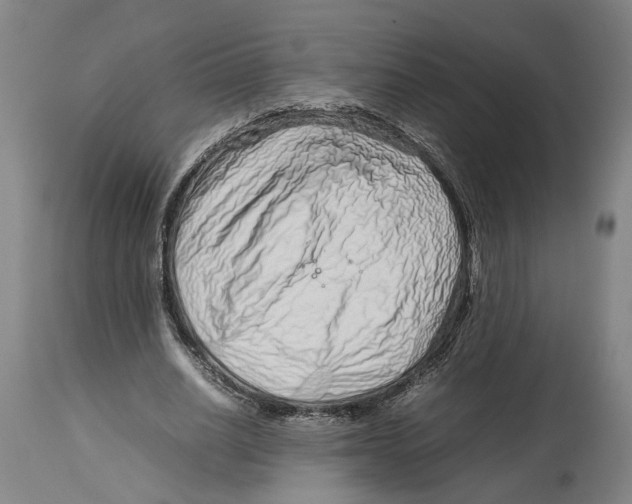 X0000114140630200911051421