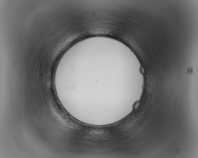 X0000114140631200911051421