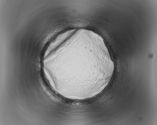 X0000114140634200911051421