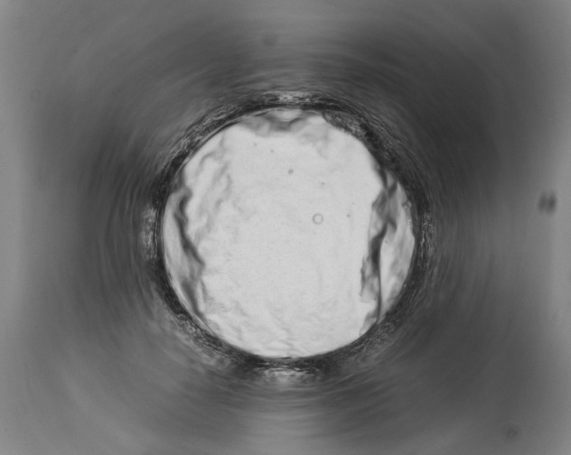 X0000114140650200911051422