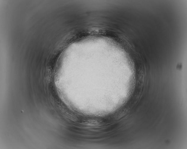 X0000114140659200911051422