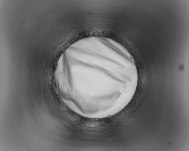 X0000114140661200911051422