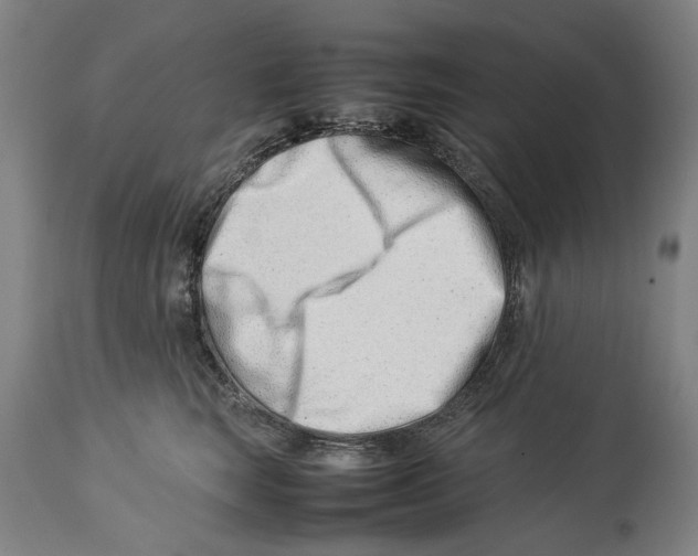 X0000114140663200911051422