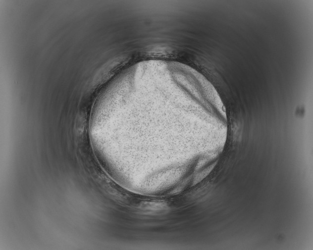 X0000114140665200911051422