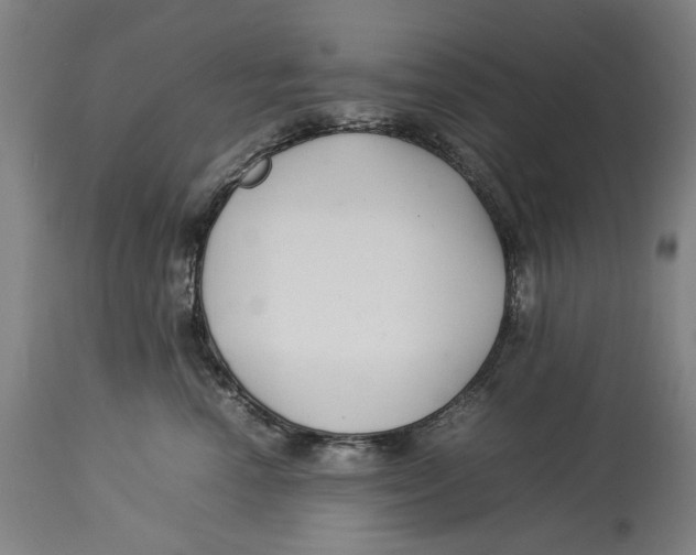 X0000114140666200911051422