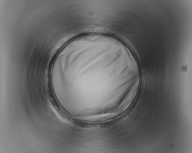 X0000114140674200911051421