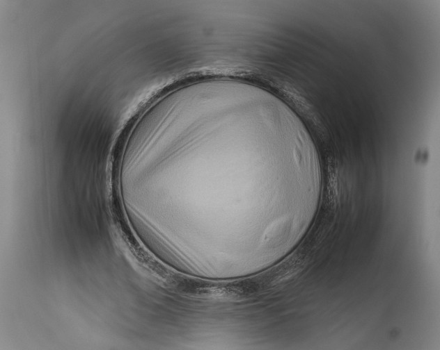 X0000114140678200911051421