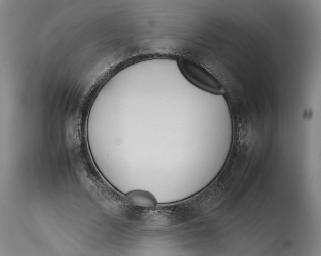 X0000114140680200911051421