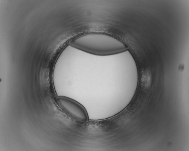 X0000114140684200911051421