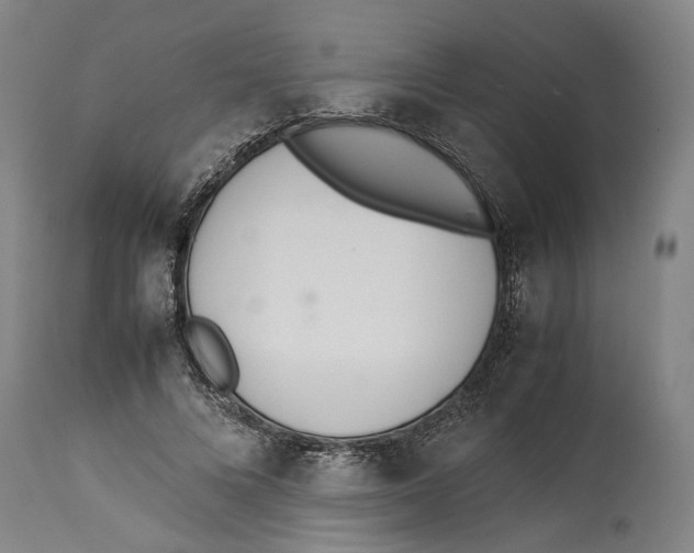 X0000114140688200911051421