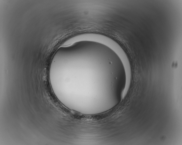 X0000114140689200911051421