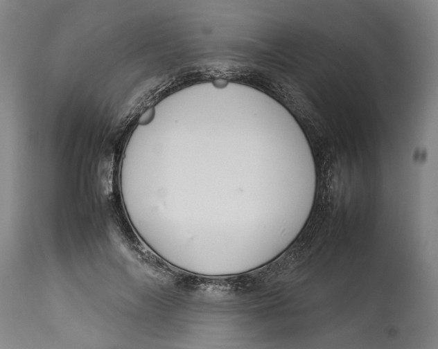 X0000114140694200911051421