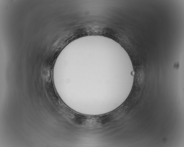 X0000114140709200911051421