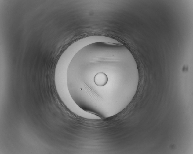 X0000114140720200911051421