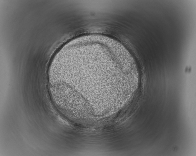 X0000114140721200911051420