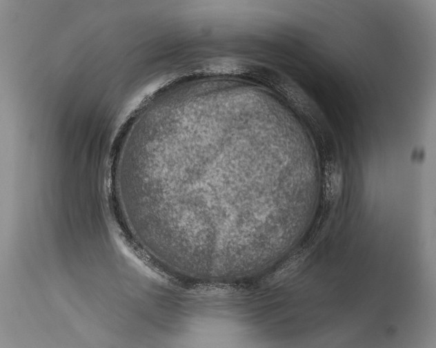 X0000114140726200911051420