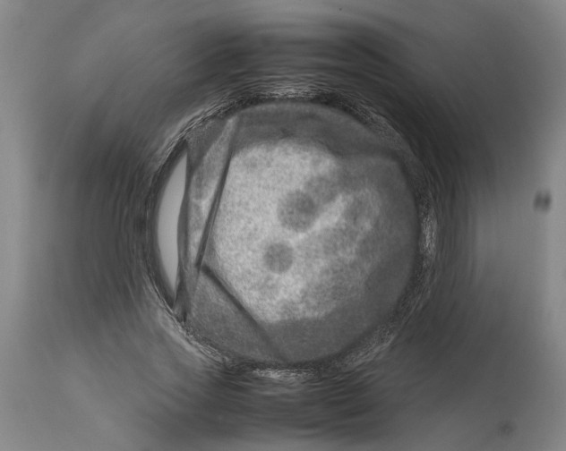 X0000114140733200911051420