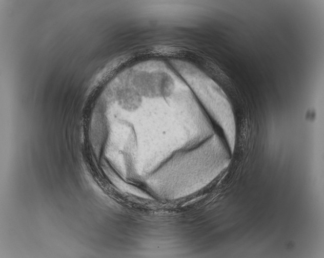 X0000114140734200911051420