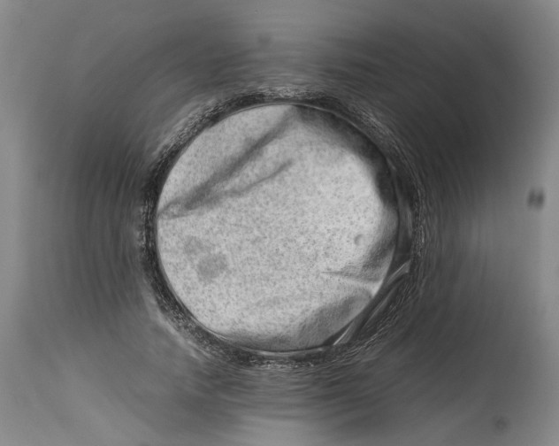 X0000114140738200911051420