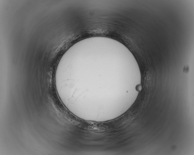 X0000114140739200911051420