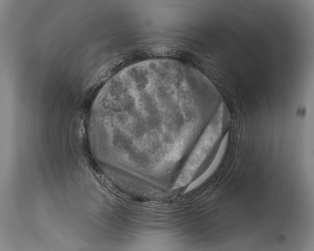 X0000114140746200911051420