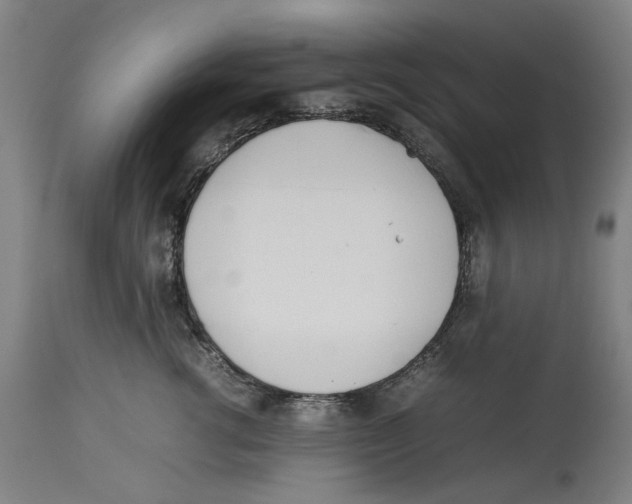 X0000114140762200911051421