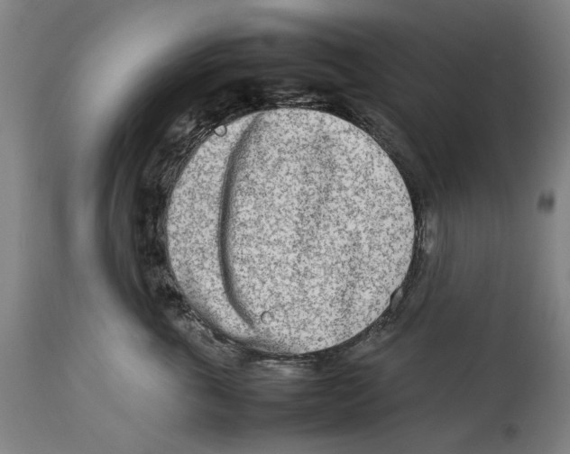 X0000114140763200911051421