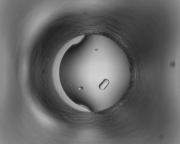 X0000114140764200911051421