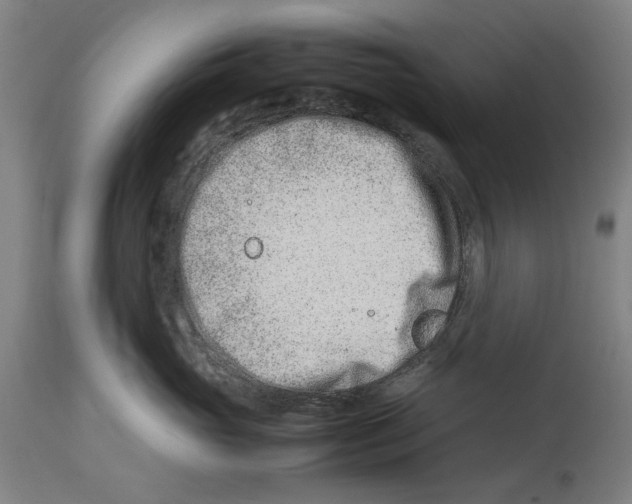 X0000114140765200911051421